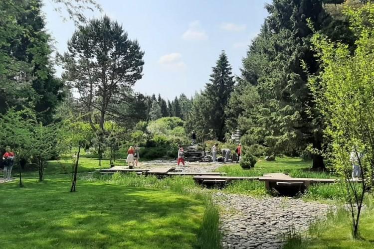 Дендросад и царский бот