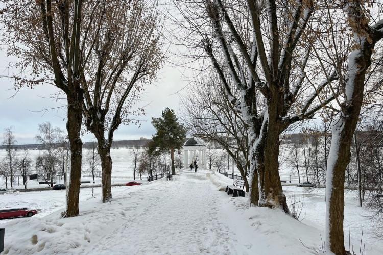 Где живут лоси и оживают лесные сказки