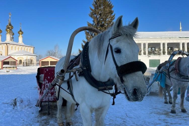 Масленица по-суздальски в Усадьбе Марьи Искусницы