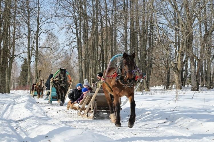 Медведки: «Смелым — седло, всем — сказка»
