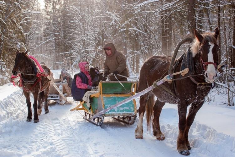 Медведки: «Смелым — седло, всем — сказка»