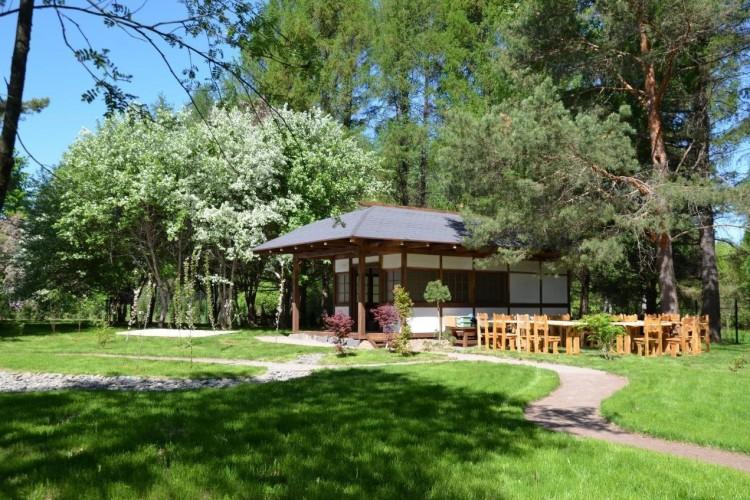 Место силы и красоты: Дендрарий им. С.Ф. Харитонова