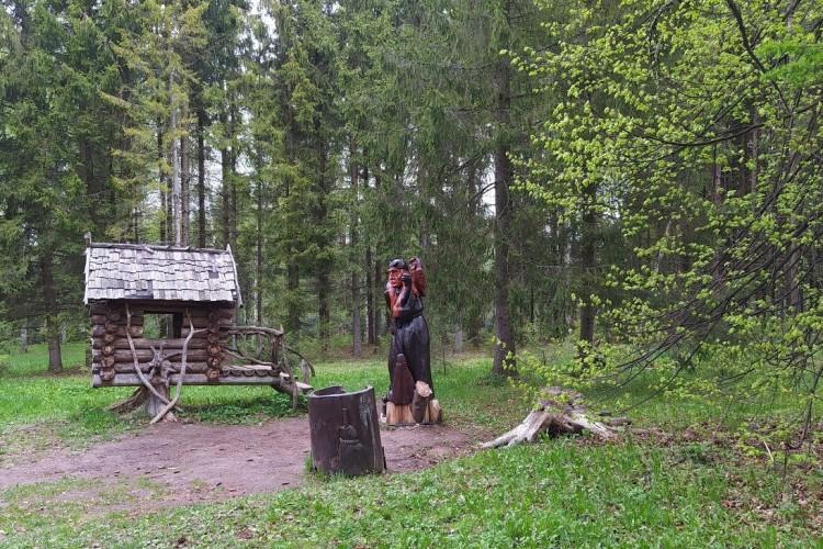 Очарование лета на берегах реки Трубеж