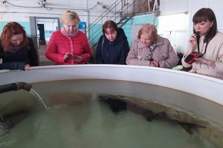 От древних стен до рыбных ферм