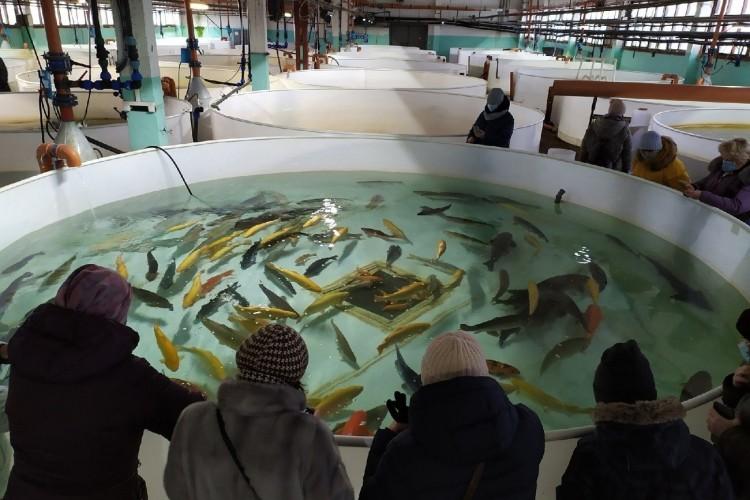 От древних стен до рыбных ферм