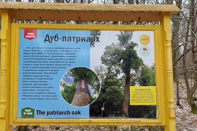 «От Минска до Бреста»