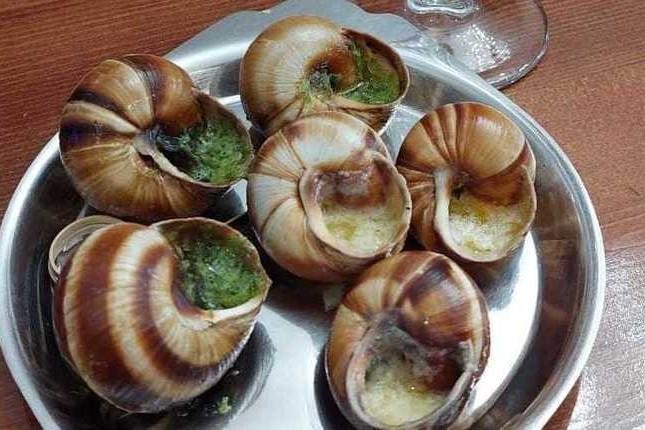 От моря до виноградников