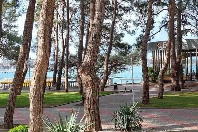 От моря до виноградников