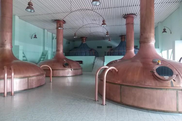 Питейные заведения Ярославля с посещением завода «ЯРПИВО»