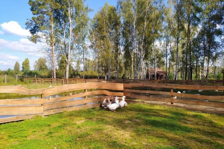 Погружение в атмосферу жизни русской деревни (в парк-отеле «Мазай»)