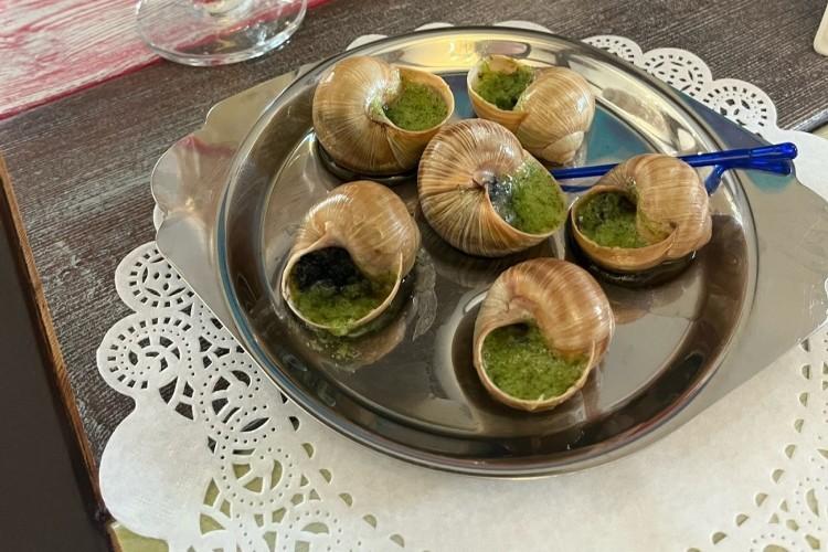 Прованс по-русски (с посещением улиточной фермы)