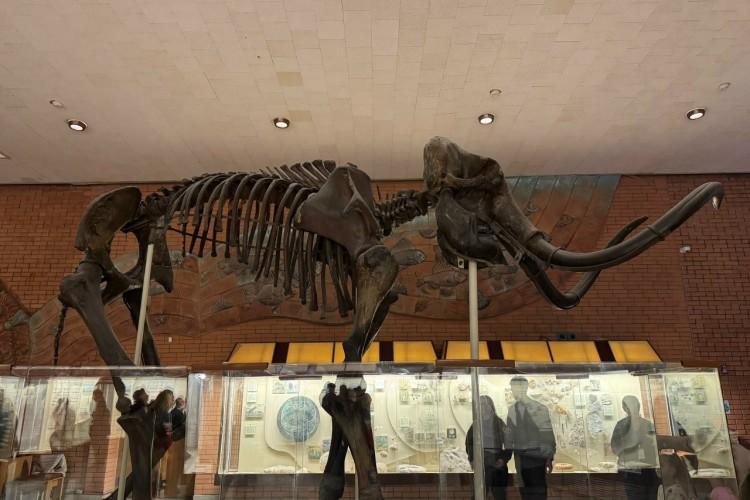 Путешествие в Москву: ВДНХ и Палеонтологический музей