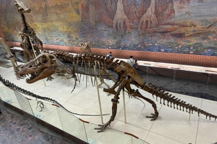 Путешествие в Москву: ВДНХ и Палеонтологический музей