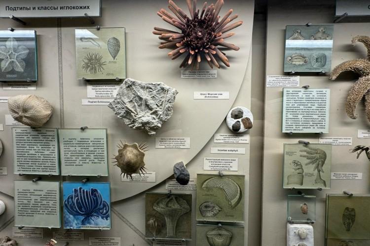 Путешествие в Москву: ВДНХ и Палеонтологический музей