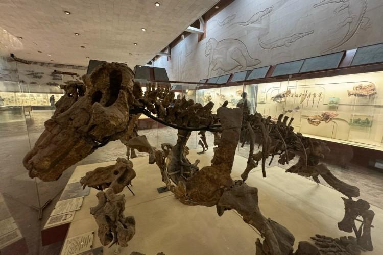 Путешествие в Москву: ВДНХ и Палеонтологический музей