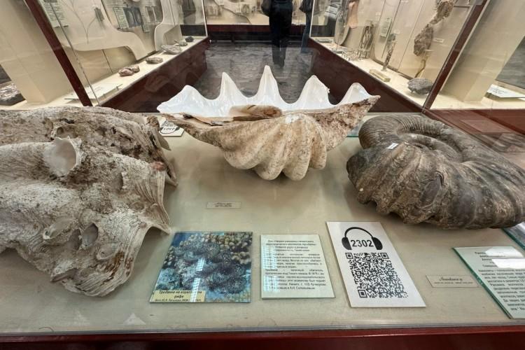 Путешествие в Москву: ВДНХ и Палеонтологический музей