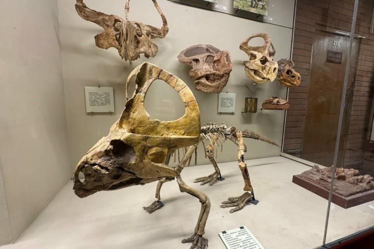 Путешествие в Москву: ВДНХ и Палеонтологический музей