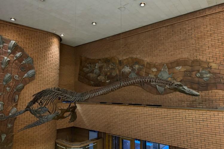 Путешествие в Москву: ВДНХ и Палеонтологический музей