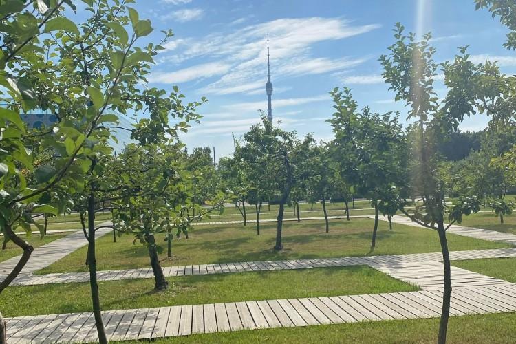 Путешествие в Москву: ВДНХ и Палеонтологический музей