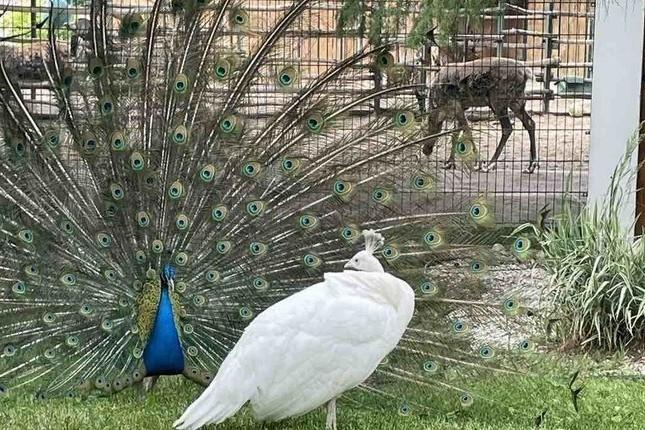 Семейные выходные в Нижнем