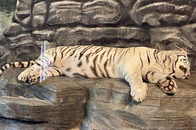 Семейные выходные в Нижнем