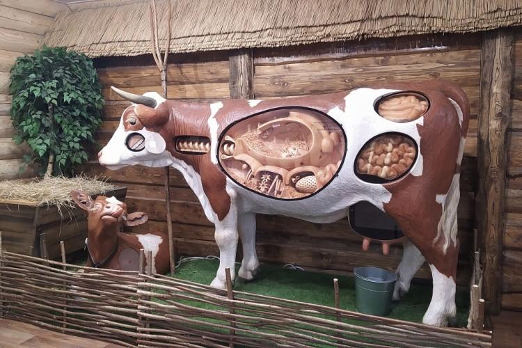 Свежесть с конвейера: молочные деликатесы