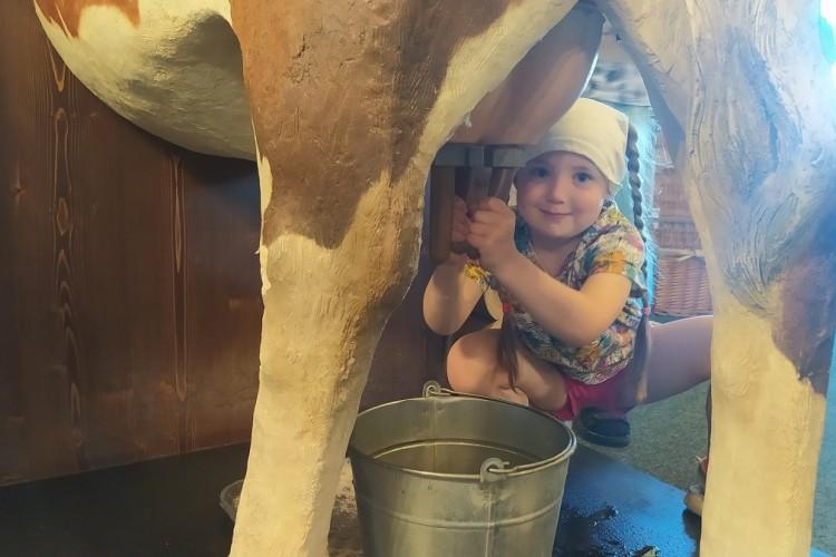 Свежесть с конвейера: молочные деликатесы