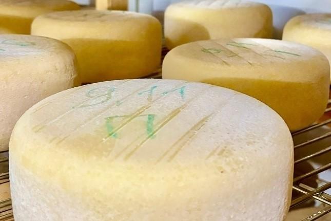 «Сырные радости: Путешествие в Нижний Новгород»