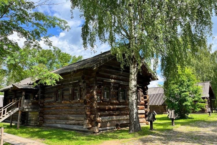 В гости к лесным Великанам