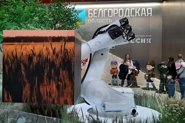 Выставка ВДНХ: Россия