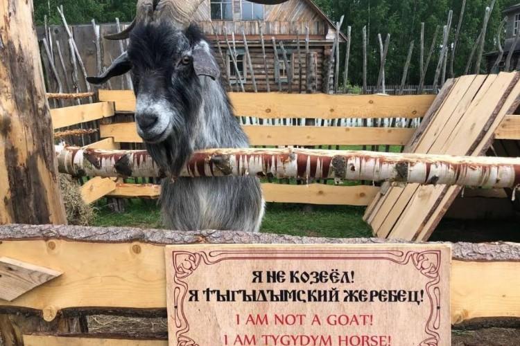 Ярославское взморье