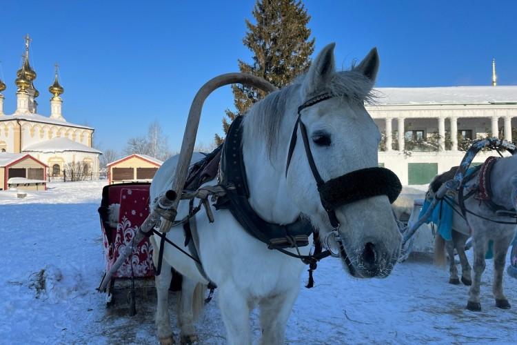 Где оживает прошлое