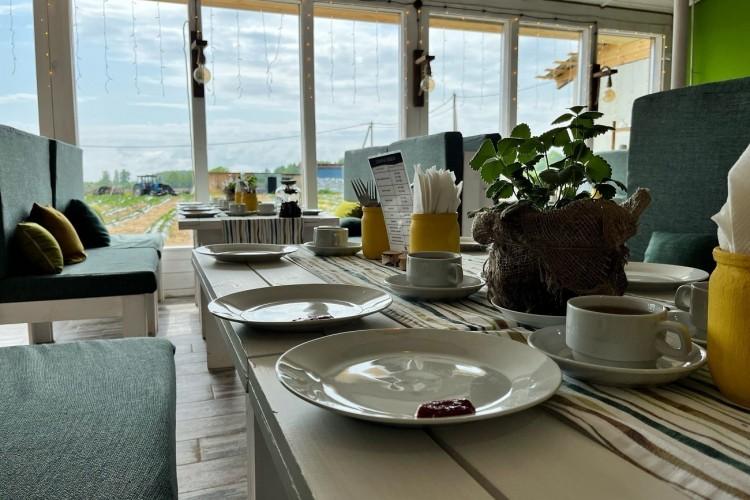 Клубничный рай и льняной край