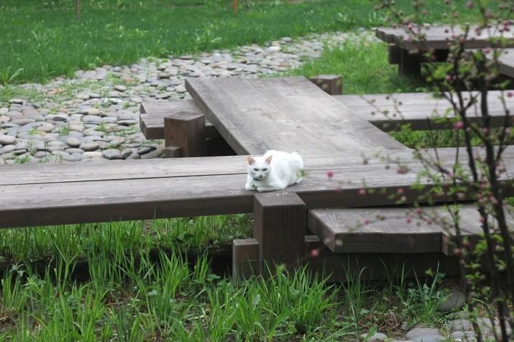 Место силы и красоты: Дендрарий им. С.Ф. Харитонова