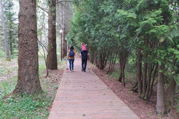 Место силы и красоты: Дендрарий им. С.Ф. Харитонова