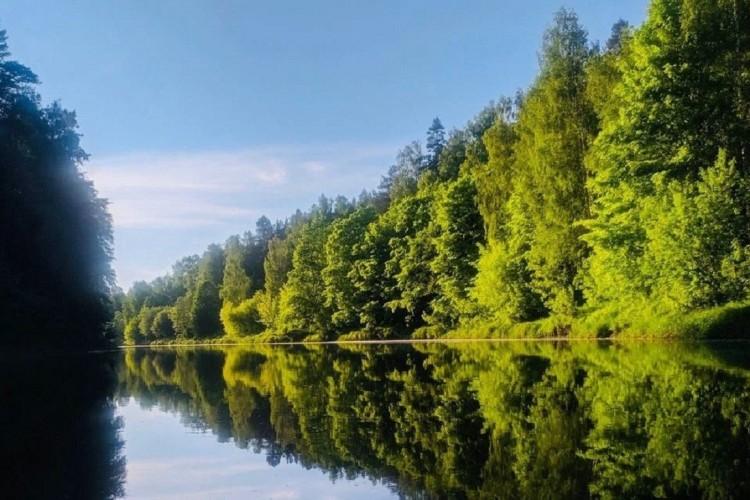 Сплав: В поисках приключений
