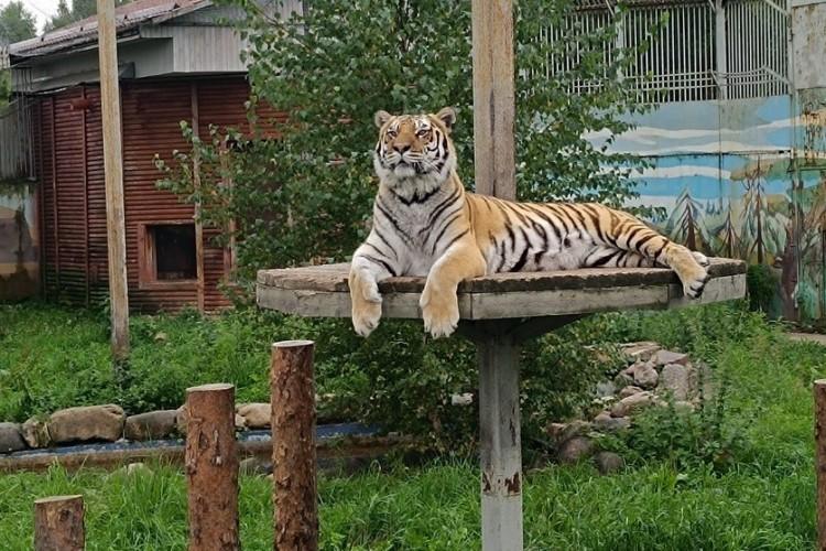 Ярославский зоопарк